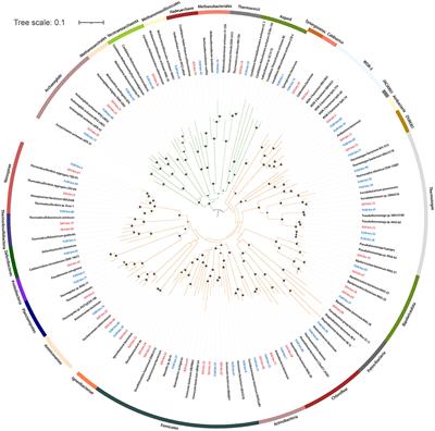 Metabolic profiling of petroleum-degrading microbial communities incubated under high-pressure conditions